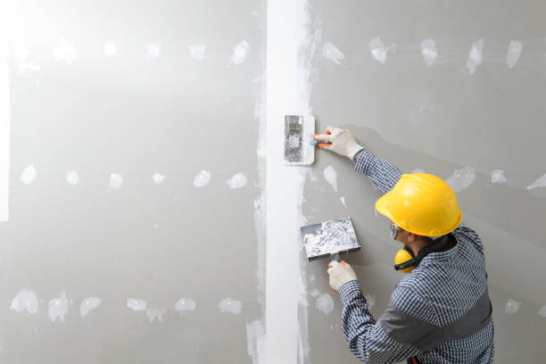 Best Environmental Consulting for Mold Prevention  in Wright Patterson Af, OH