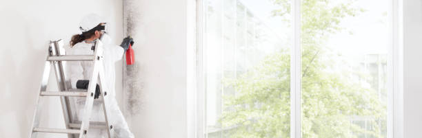 Best Residential Mold Inspection & Testing  in Wright Patterson Af, OH